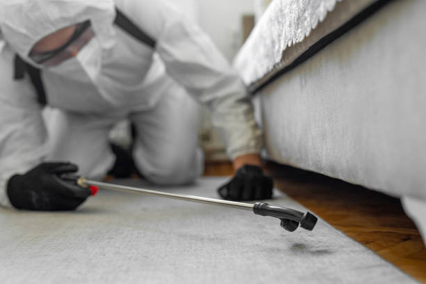 Professional Termite Control technician working in Amery, WI