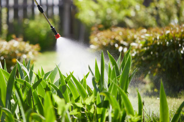 24/7 Emergency Termite Control experts in Amery, WI