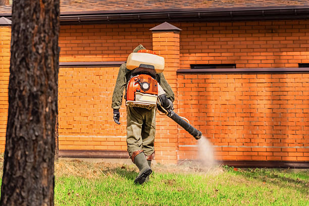 Top rated local Termite Control specialists in Amery, WI